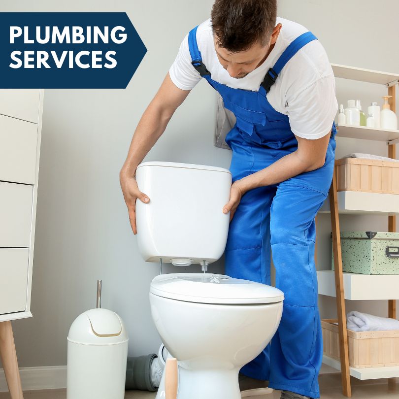Plumbing Company in Bronwood, GA